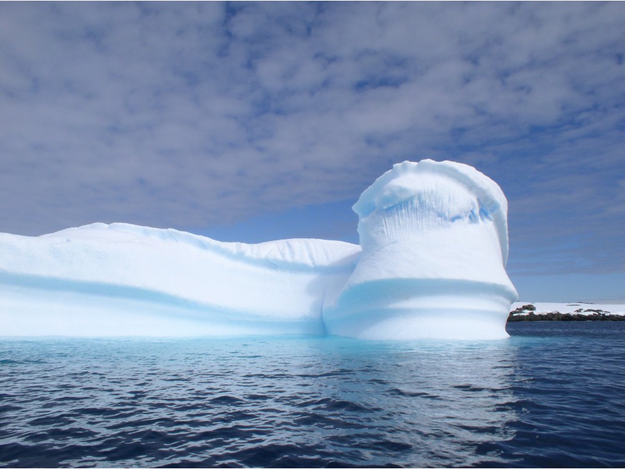 Антарктида - Антарктида. Фото №56