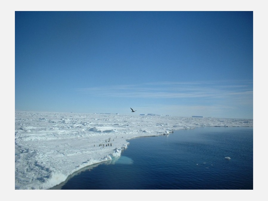 Антарктида - Антарктида. Фото №9