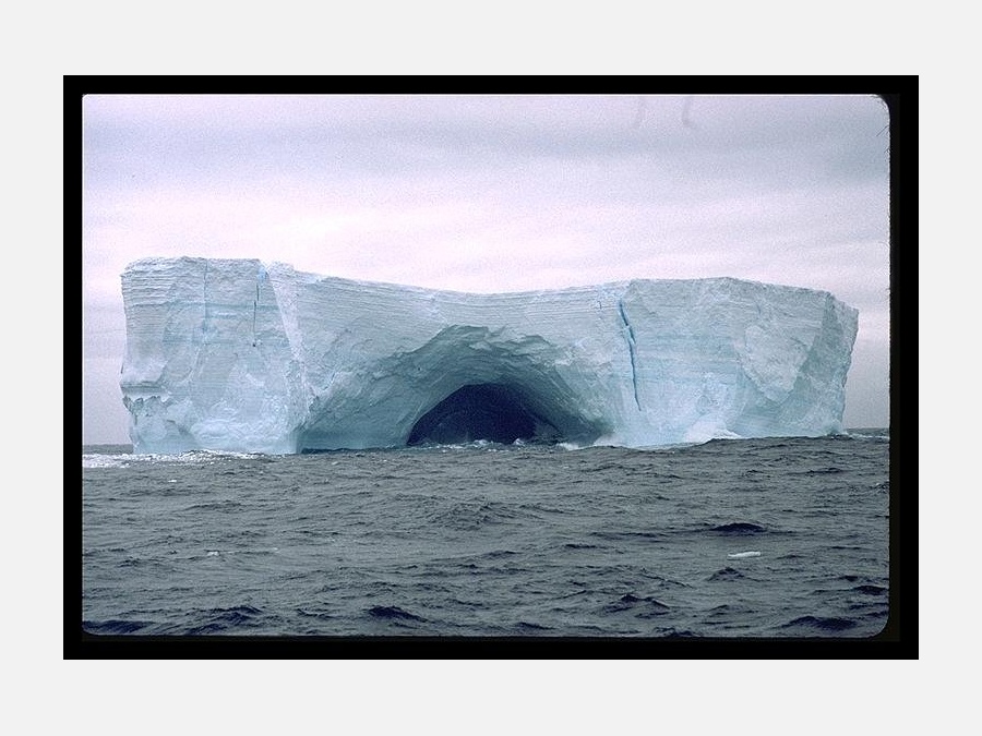 Антарктида - Остров Southern Thule. Фото №1