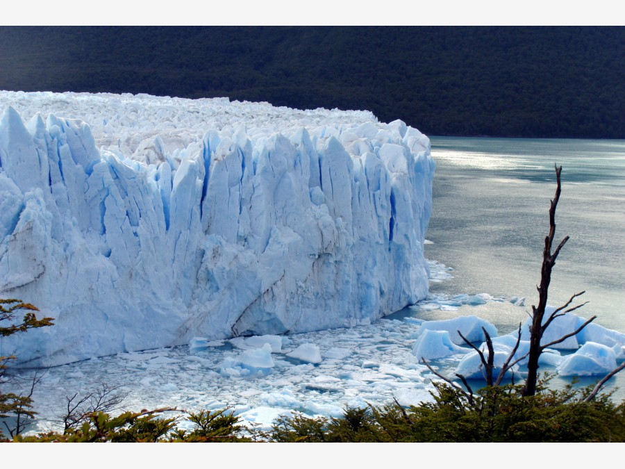 Los Glaciares - Фото №15