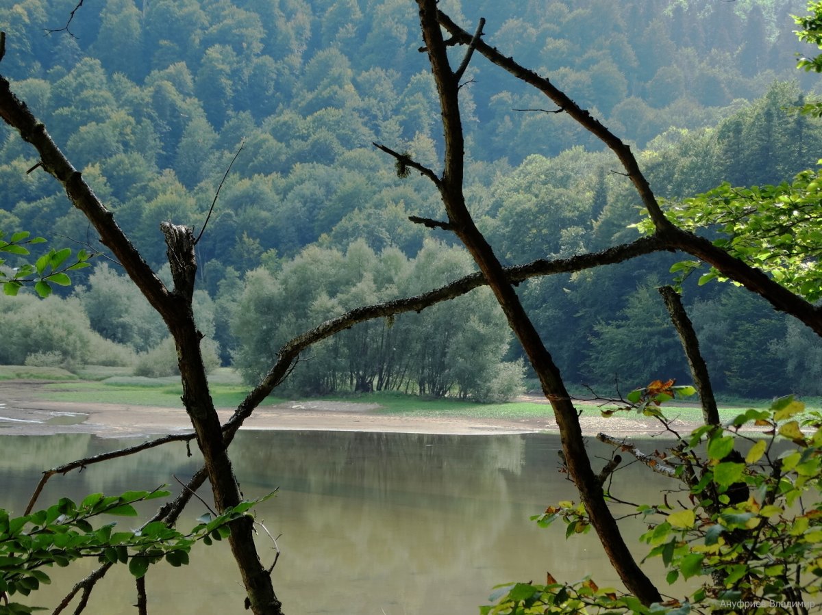 Черногория - Биоградское озеро. Фото №11
