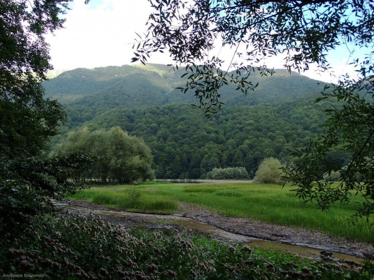 Черногория - Биоградское озеро. Фото №18