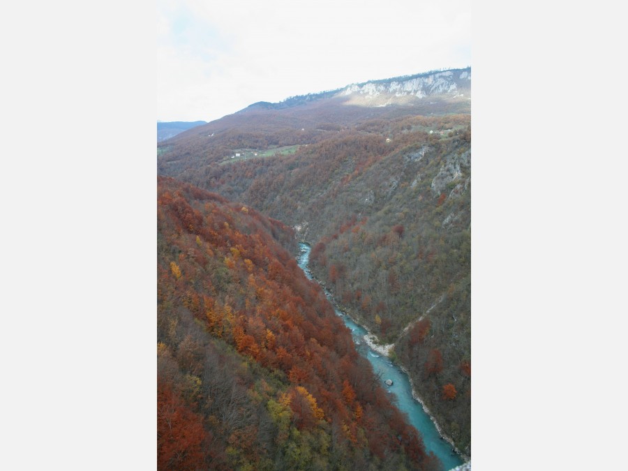Черногория - Бока-Которский залив. Фото №11