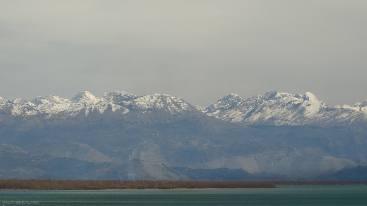 Черногория - Скадарское озеро. Фото №2