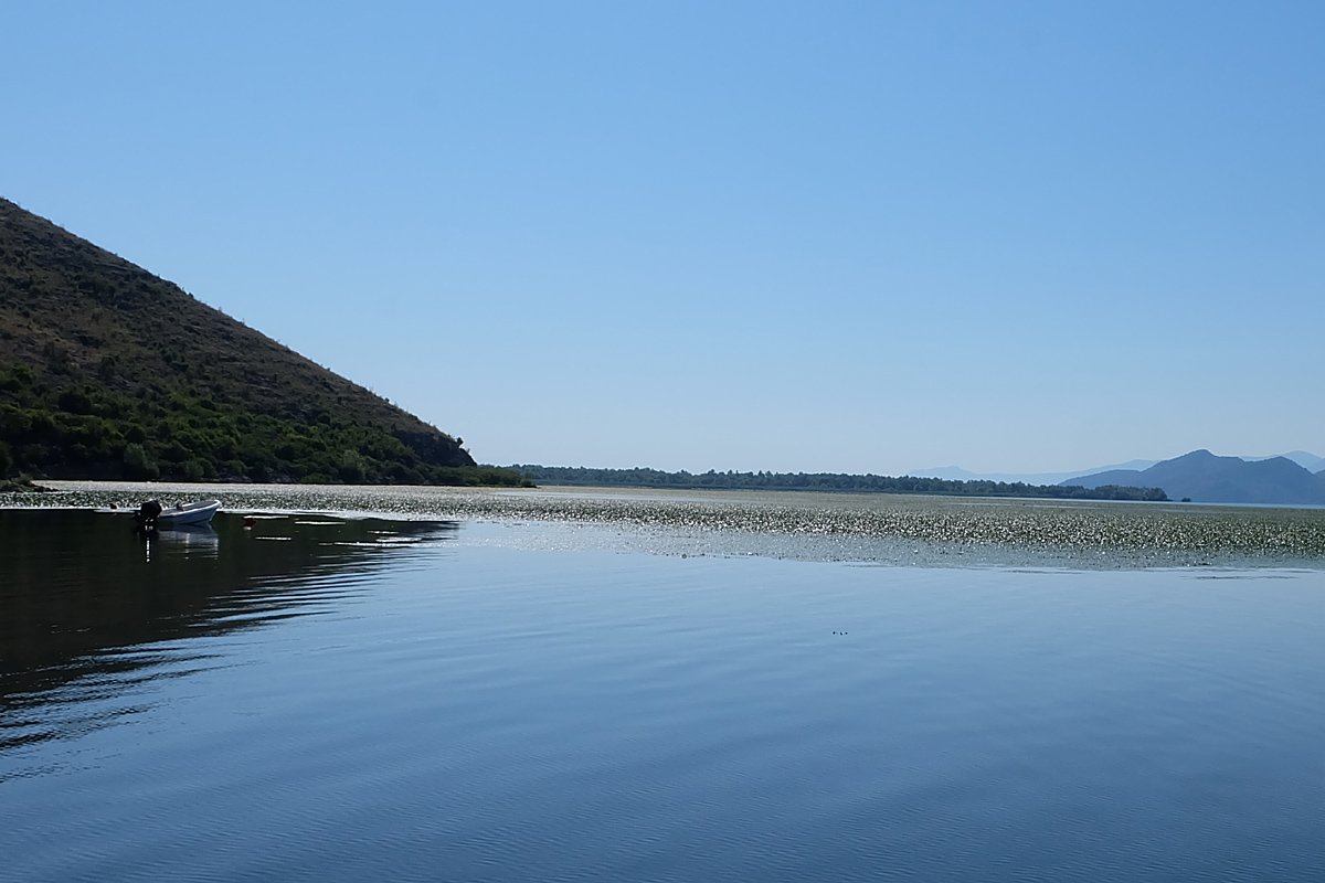 Черногория - Скадарское озеро. Фото №3