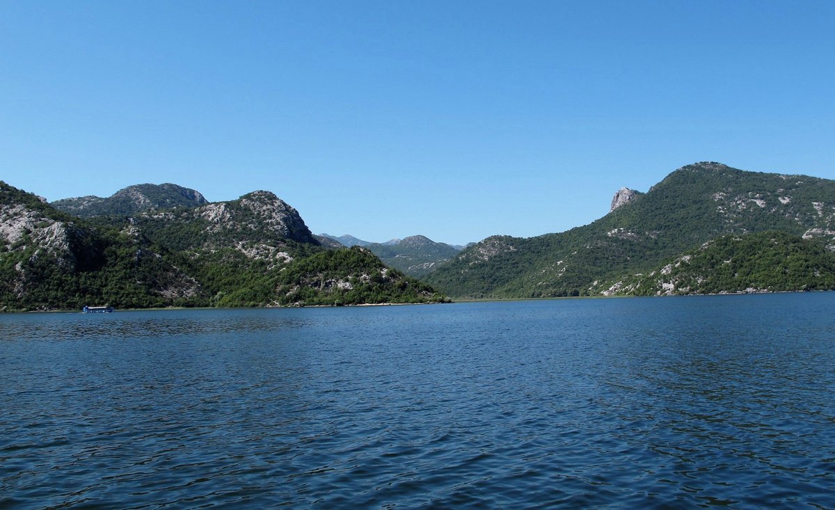 Черногория - Скадарское озеро. Фото №6