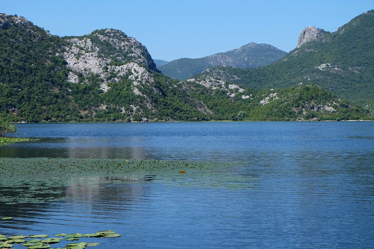 Черногория - Скадарское озеро. Фото №13