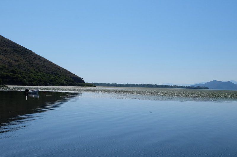 Скадарское озеро - Фото №3