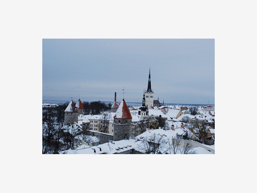 Эстония - Таллин. Фото №10
