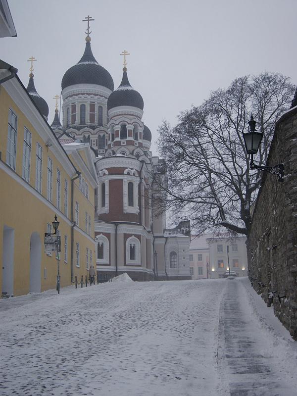 Эстония - Таллин. Фото №11
