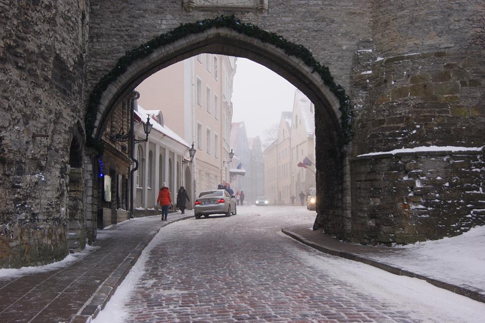 Эстония - Таллин. Фото №8