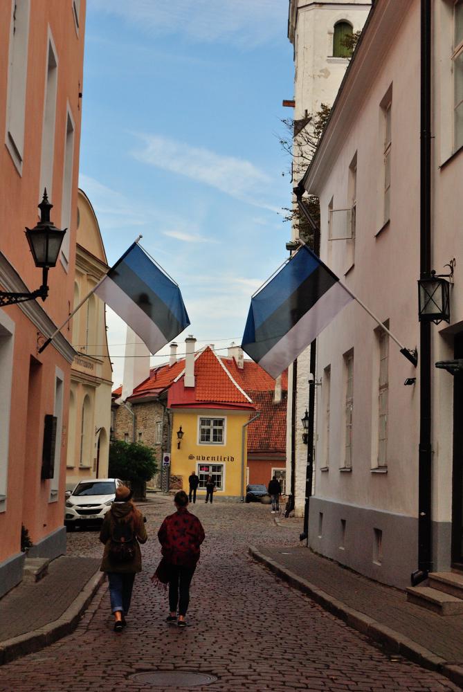Эстония - Таллинн. Фото №19