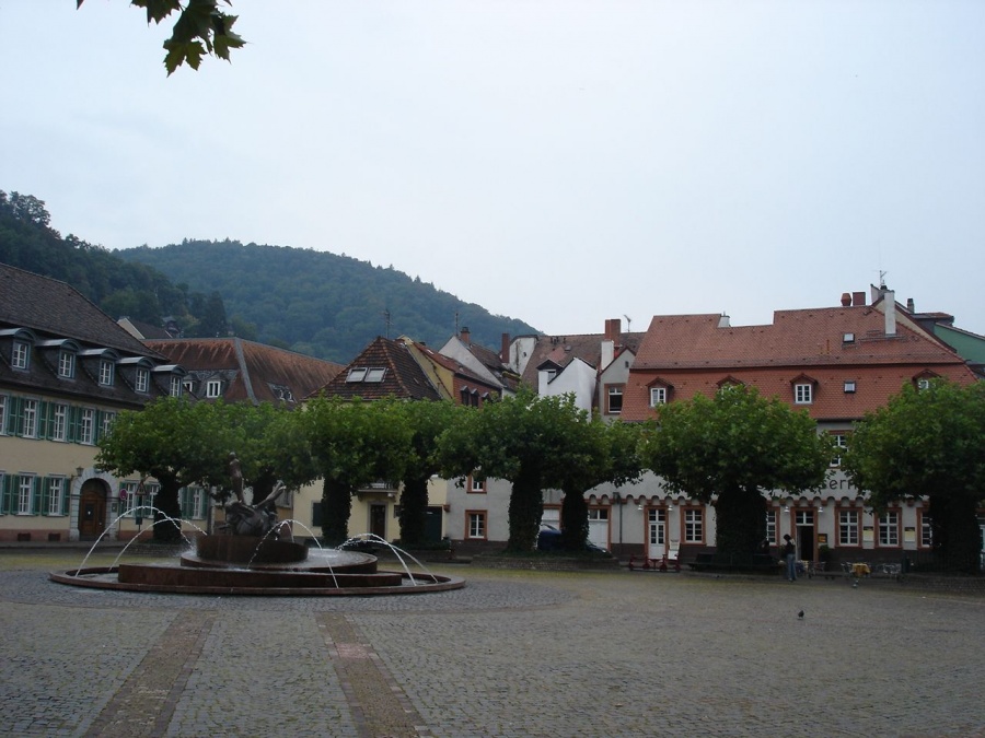 Хайдельберг (Heidelberg) - Фото №10