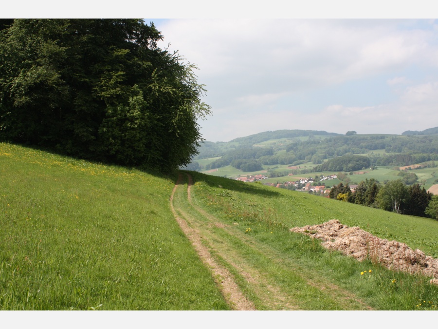 Reichelsheim in Odw. - Фото №2