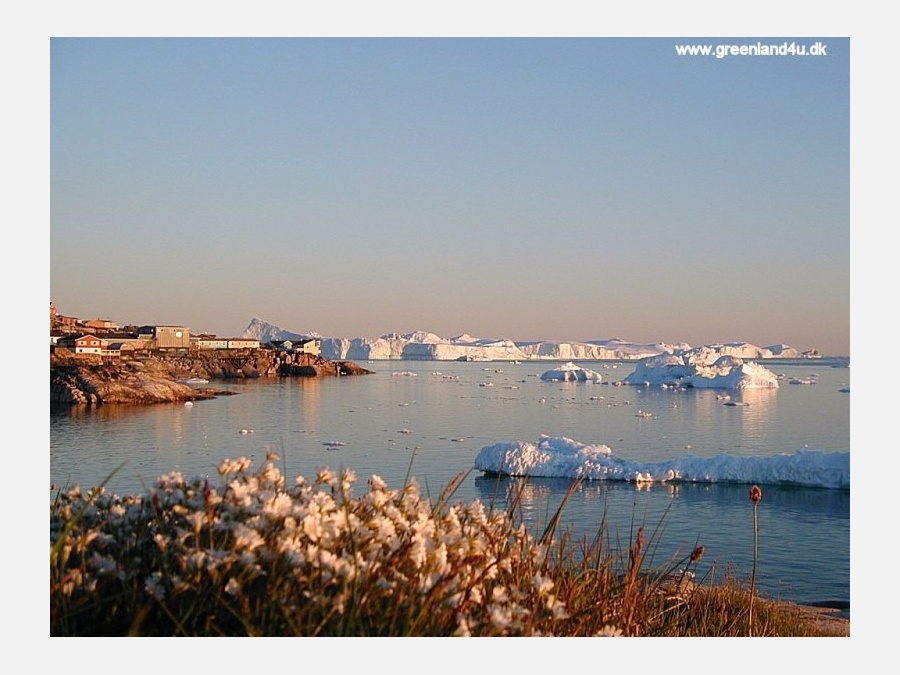 Гренландия - Фото №15