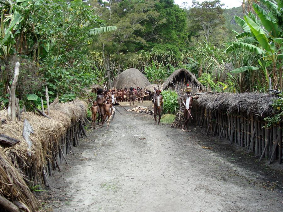 Индонезия - Остров Новая Гвинея. Фото №16