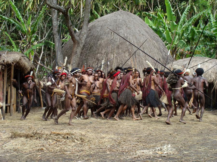 Индонезия - Остров Новая Гвинея. Фото №17