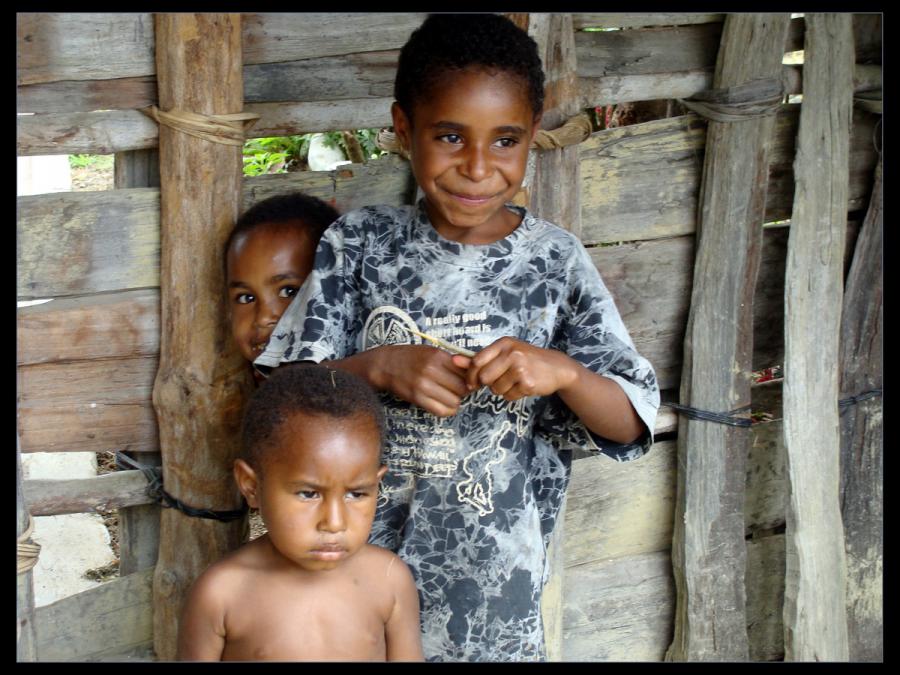 остров Новая Гвинея - Фото №15
