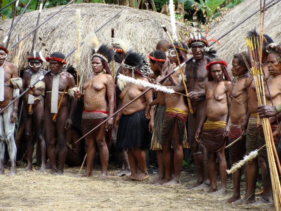 Остров Новая Гвинея - Фото №19