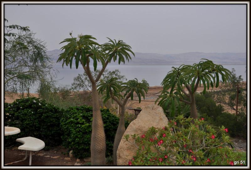 Мертвое море - Фото №11