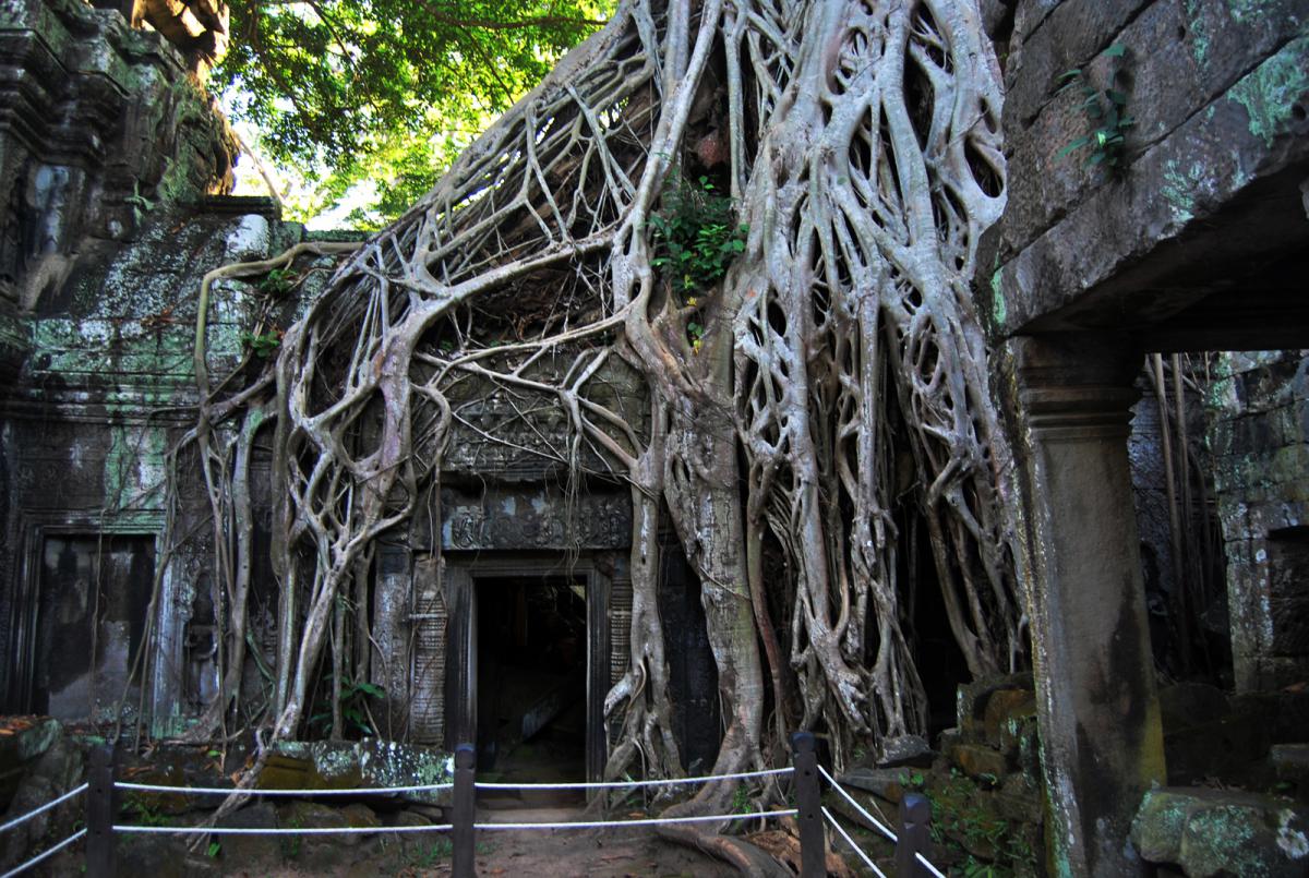Камбоджа - Ангкор-Ват. Фото №13