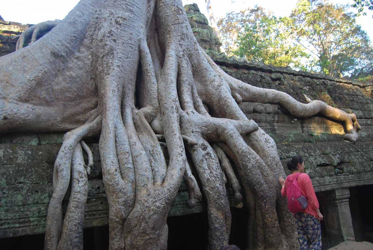 Камбоджа - Ангкор-Ват. Фото №14