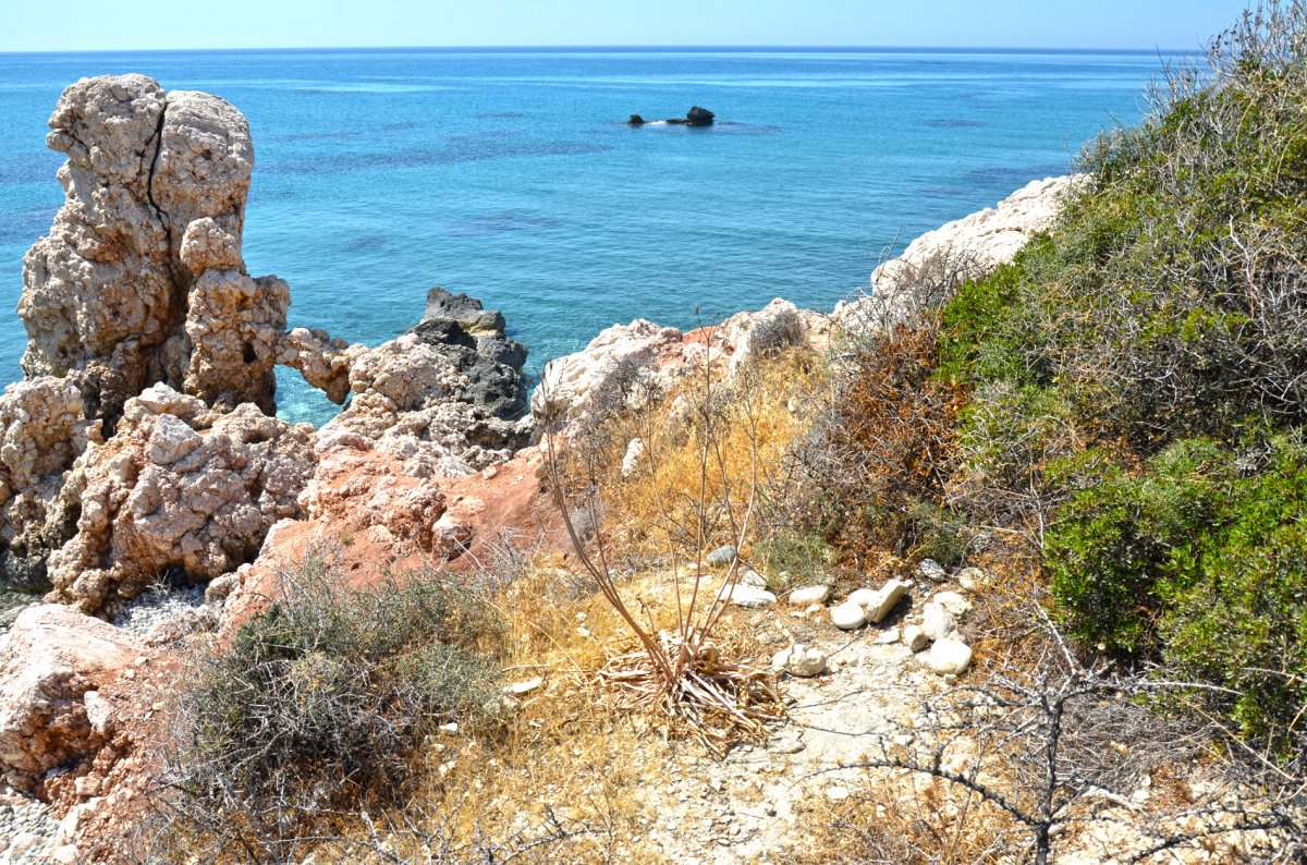 Кипр - Пафос. Фото №9