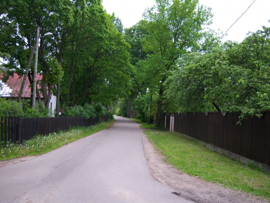Латвия - Рига. Фото №64