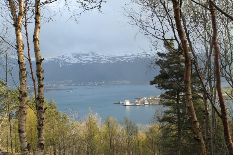 Норвегия - Олесунн. Фото №8