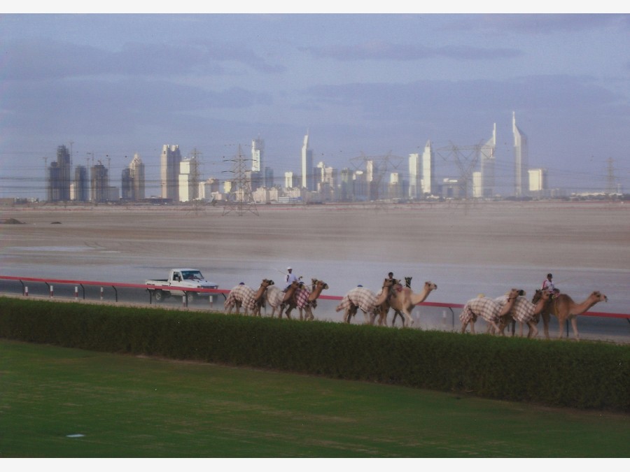 Дубай - Фото №17