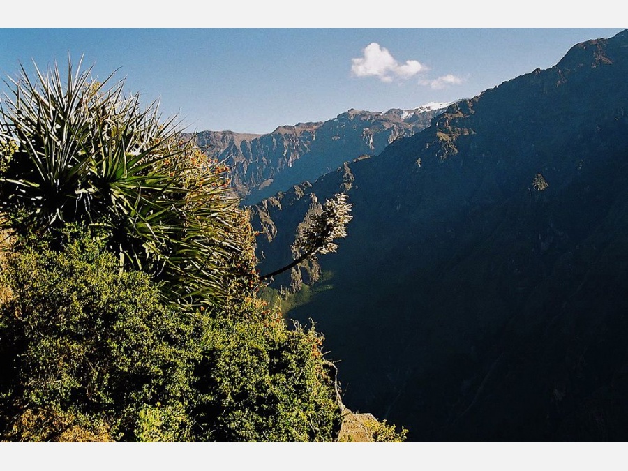 Перу - Каньон Колка. Фото №1