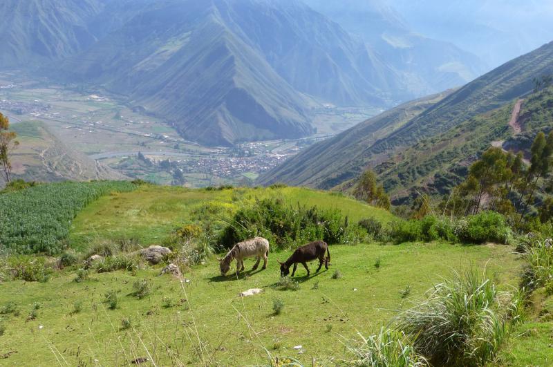 Перу - Куско. Фото №8
