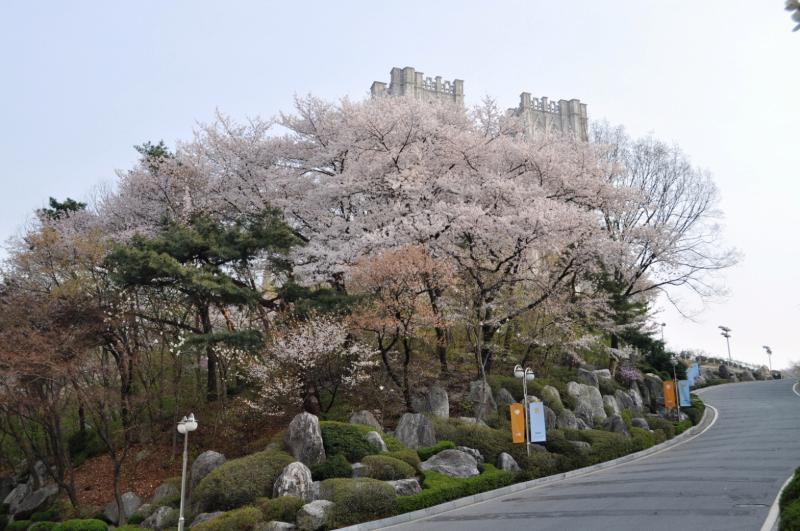Республика Корея - Сеул. Фото №17