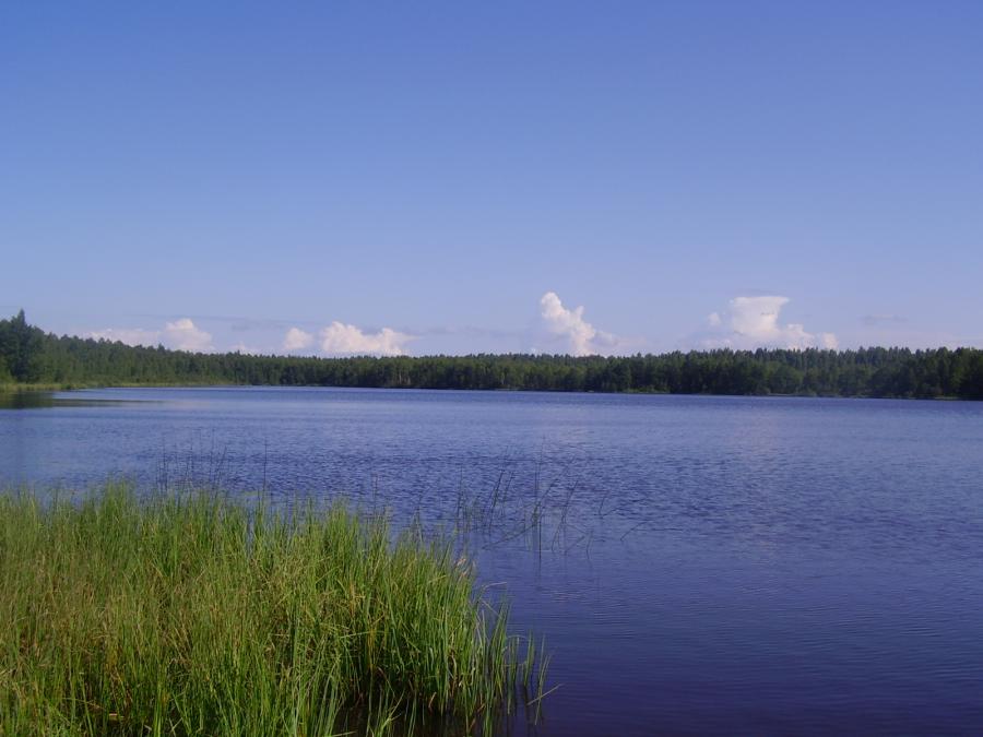 Россия - Барское озеро. Фото №1