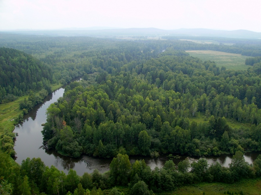 Медведь камень фото