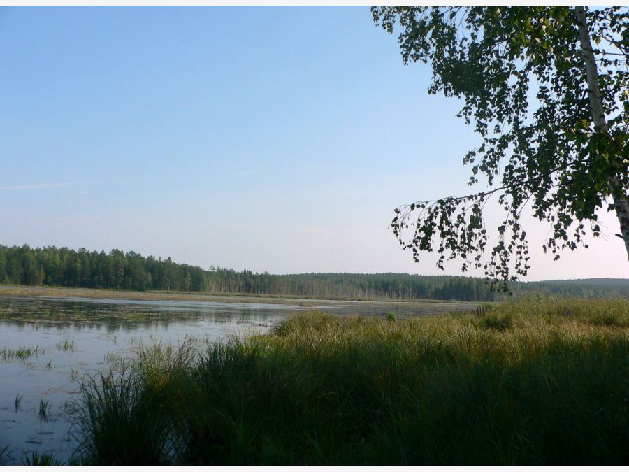 Россия - Озеро Таватуй. Фото №4