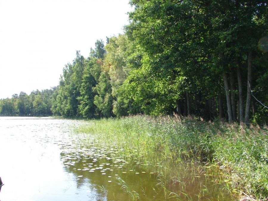 Озеро Дербовеж - Фото №4