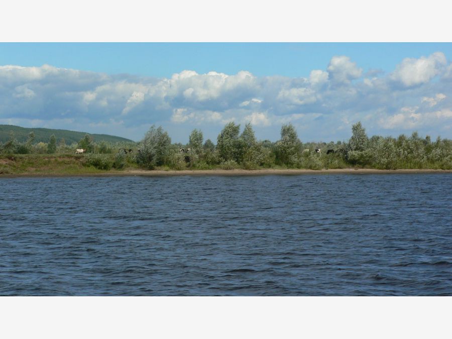 Россия - Река Кама. Фото №1