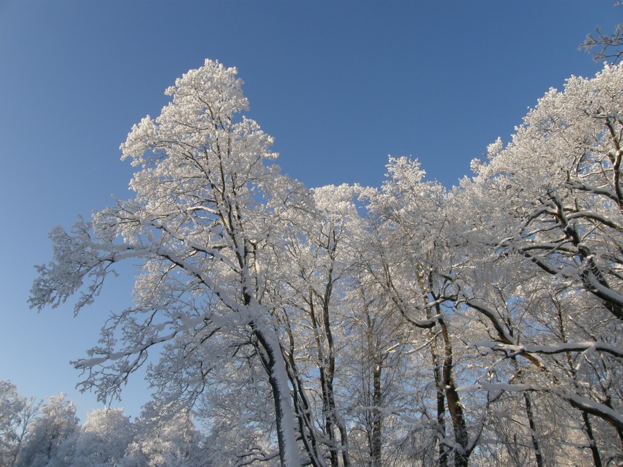 Всеволожск - Фото №4