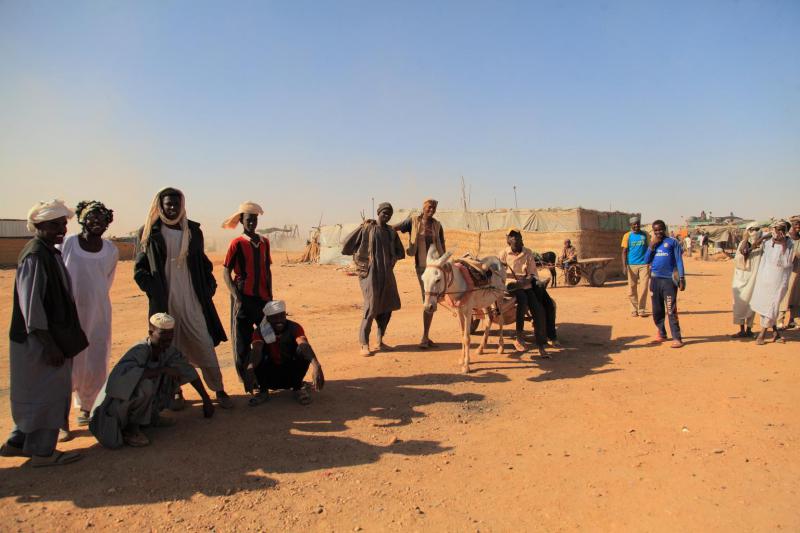 Северный Судан - Мероэ. Фото №20