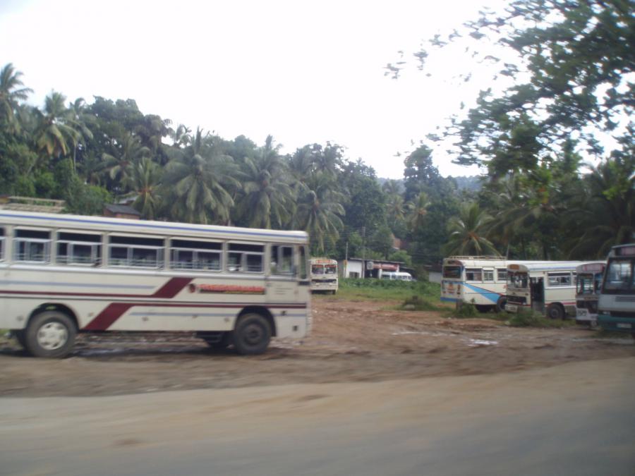 Шри-Ланка - Западно-Центральная провинция. Фото №16