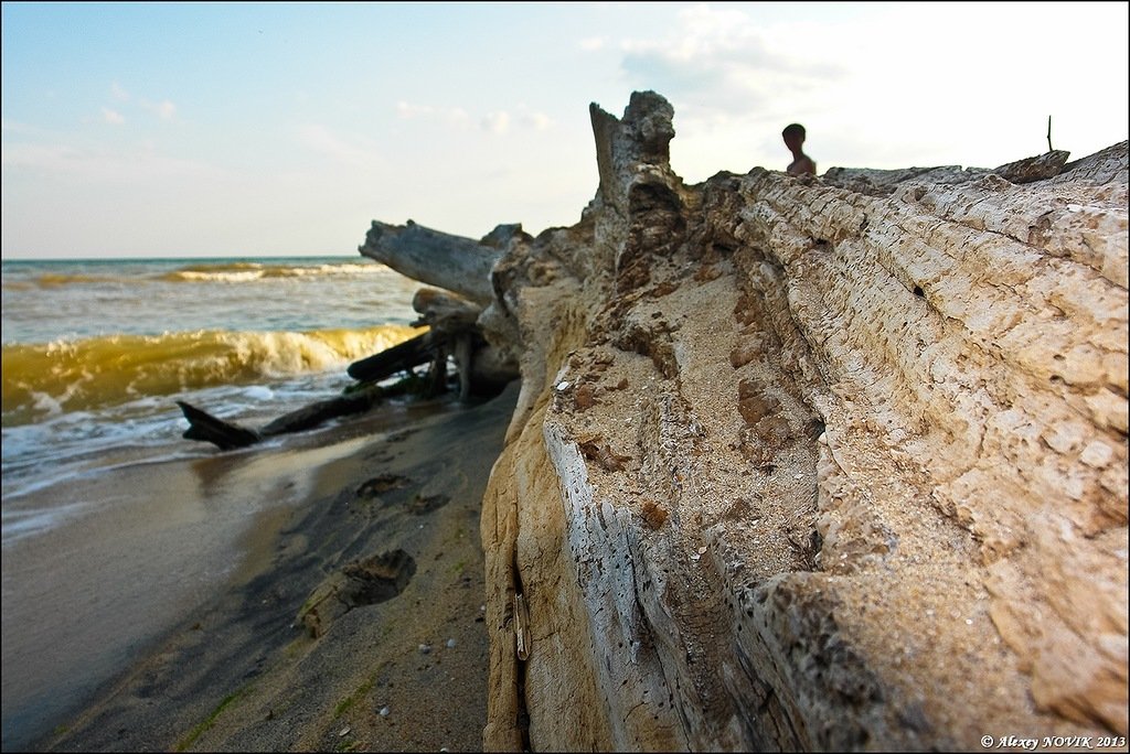 Украина - Азовское море. Фото №16