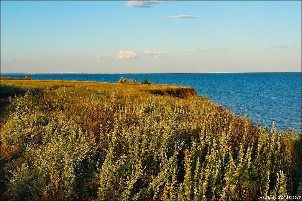 Украина - Азовское море. Фото №28