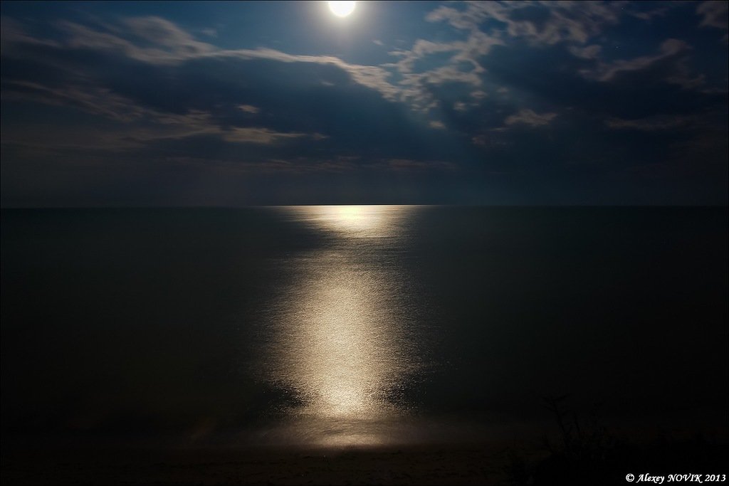 Украина - Азовское море. Фото №31