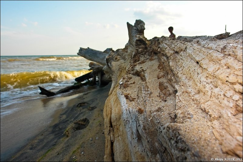 Азовское море - Фото №16