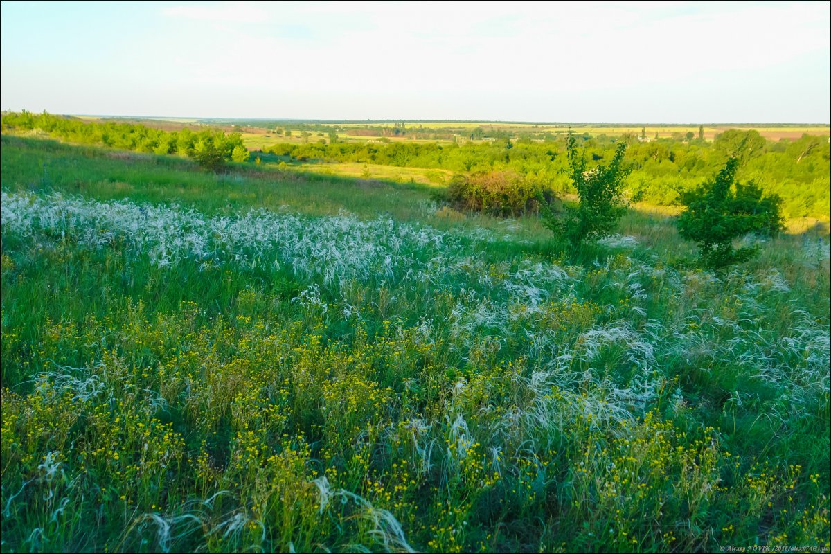 Украина - Токмакский район. Фото №32