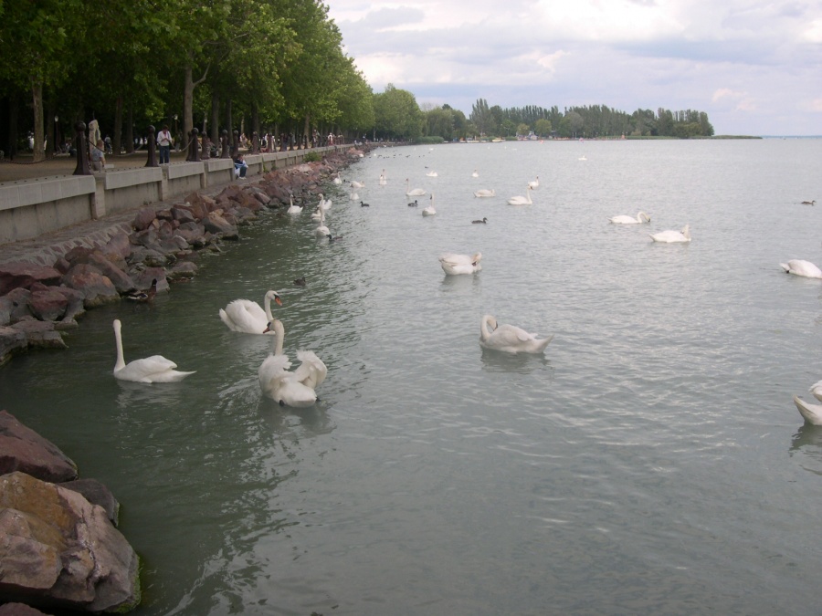 Венгрия - Озеро Балатон. Фото №25