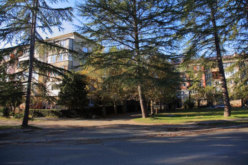 Абхазия. Жилые дома Пицунды Абхазия - Абхазия. Фото №17