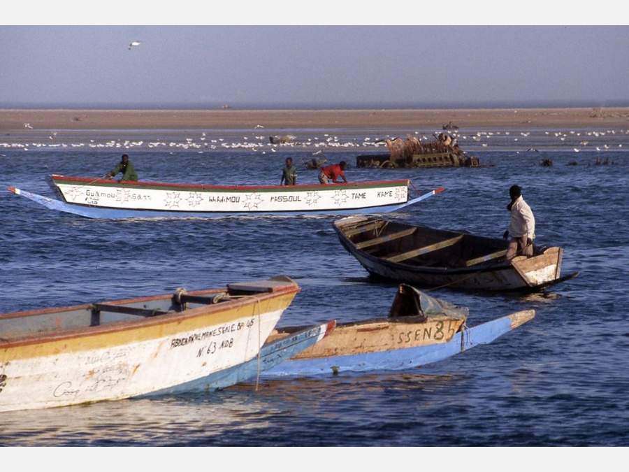 Мавритания - Нуадибу. Фото №4