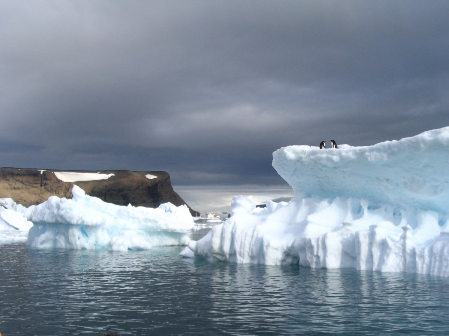 Антарктида - Антарктида. Фото №23